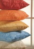 Wholesale Soft Cotton Home Cushions