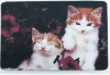 Wholesale Promotional Animal Door Mat