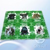 Wholesale Reusable Durable Full Color Printing Picnic Mat(glt-r0032)
