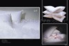 Wholesale hotel pillow, hotel beds products