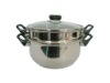 Stainless steel steamer