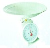 Wholesale spring scale