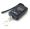 Wholesale Portable Electronic Scale 40KG 10G for Fishing Kitchen