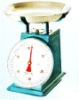 Wholesale spring scale