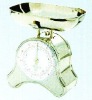 Wholesale spring scale