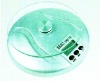 Wholesale spring scale
