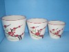 Hand Painting Flower Pot