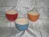 Custom Printed Ceramic Bowl