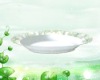 Wholesale Rec.Melamine Plate