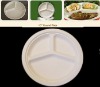 Wholesale Lunch Plate