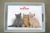 Wholesale 3pcs set melamine rectangular flat tray with handle