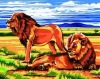Wholesale diy number oil painting