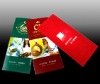 Wholesale flyer design printing