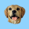 Wholesale dog head magnet