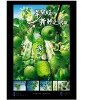 Wholesale color printing poster