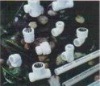 Wholesale ppr pipe fitting
