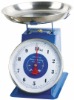 Dial Spring Scale