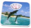Wholesale mechanical bathroom scale