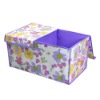 Wholesale waterproof storage box with double lids,more colors