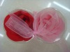 Wholesale rose soap flower