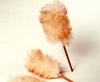 Wholesale Lambskin Teper Wiper
