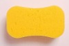 bath sponge