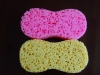 cleaning sponge
