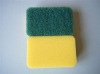 cleaning sponge
