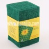 Wholesale kitchen plastic cleaning scrubber