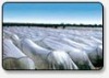 Wholesale 4.2M width agricultural Nonwoven fabric with UV stabilized in stock