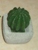 Wholesale Concrete Candle holder