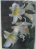 Wholesale Garden Decoration Flag