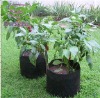 Wholesale Polypropylene Nonwoven Fabric for Plant Bags