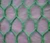 Wholesale chicken cage
