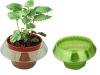Wholesale Snail guards
