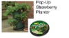 Wholesale Topsy Turvy strawberry planter