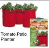 Wholesale Tomato Planter