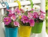 Wholesale Hanging Basket