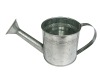 Wholesale Garden Metal Flower Watering Pot