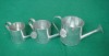 Wholesale flower watering can