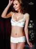 Wholesale panty. bra set.panty.lingerie.garment