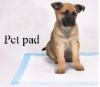 60*45cm pet pad,dog pet,cat pad,puppy pad,pooch pad