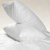 Wholesale Hotel pillow
