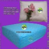 Wholesale disposable CPE mattress cover (CPE bed cover, PVC pillow cover)