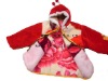 baby clothing/baby loak