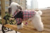 Wholesale new arrival cotton material luxury dog clothes pet apparel