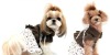 Wholesale quality guarantee dog dresses