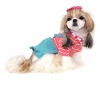 Wholesale fashionable pet dress