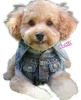Wholesale Dog clothes apparel