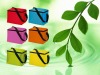 Wholesale 2011 high quality lunch bag